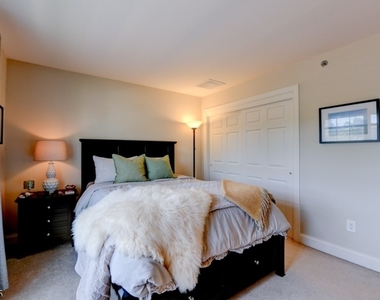 50 Bloomfield Ave - Photo Thumbnail 17