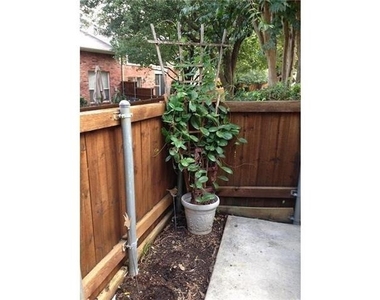 7049 Van Gogh Drive - Photo Thumbnail 18