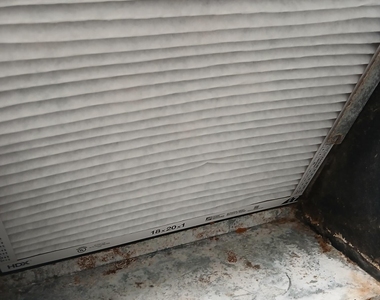 4800 Hollywood Boulevard - Photo Thumbnail 11