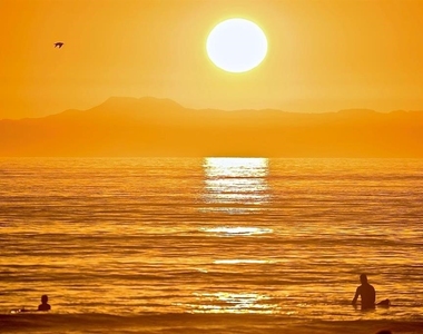 1808 W Balboa - Photo Thumbnail 15