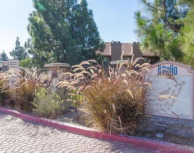 12019 Alta Carmel Ct. - Photo Thumbnail 22