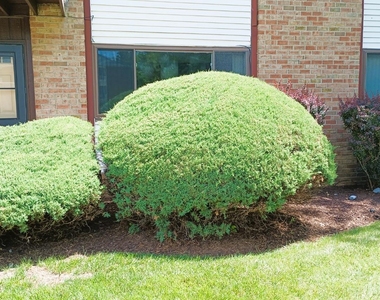 117 Cricket Lane - Photo Thumbnail 18