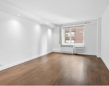 411 E 53rd Street - Photo Thumbnail 6