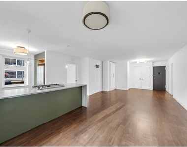 411 E 53rd Street - Photo Thumbnail 1