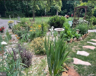 41272 Stone School Lane - Photo Thumbnail 6