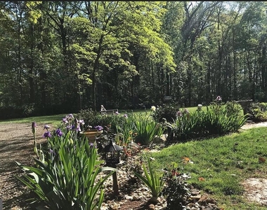 41272 Stone School Lane - Photo Thumbnail 15