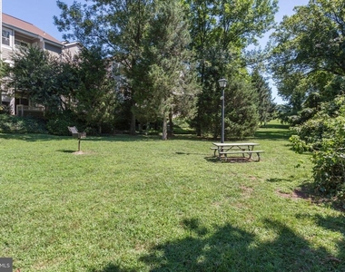 14321 Climbing Rose Way - Photo Thumbnail 25