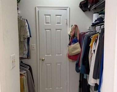 14321 Climbing Rose Way - Photo Thumbnail 13
