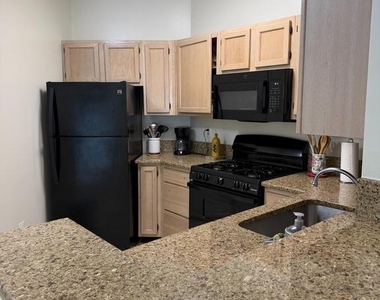 14321 Climbing Rose Way - Photo Thumbnail 10