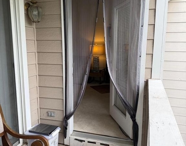 14321 Climbing Rose Way - Photo Thumbnail 17