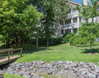 14321 Climbing Rose Way - Photo Thumbnail 26