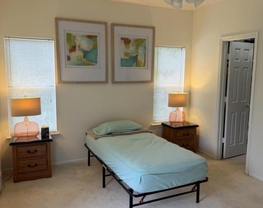 14321 Climbing Rose Way - Photo Thumbnail 12
