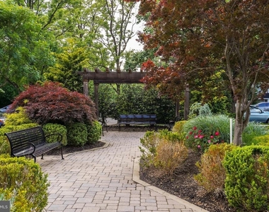 1401 N Oak Street - Photo Thumbnail 23