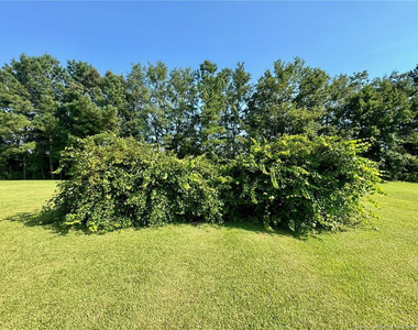 243 Trace Lane - Photo Thumbnail 44