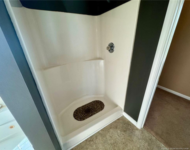 243 Trace Lane - Photo Thumbnail 22