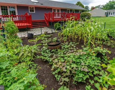 6 Morningside Drive - Photo Thumbnail 51