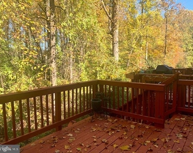 2611 Little Vista Terrace - Photo Thumbnail 26