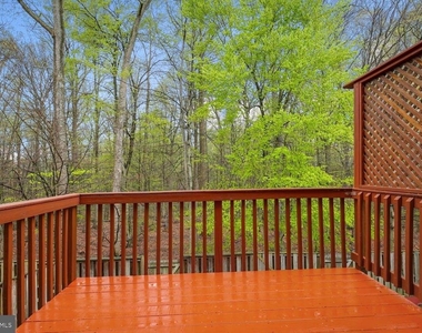 19421 Rayfield Dr - Photo Thumbnail 13