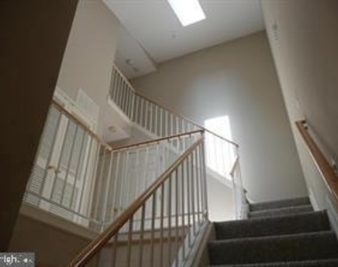 19003 Lark Song Terrace - Photo Thumbnail 17