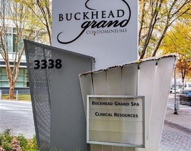 3338 Peachtree Road Ne - Photo Thumbnail 28