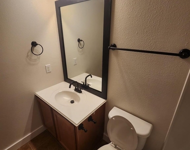 4519 Woodspring Glen Lane - Photo Thumbnail 23