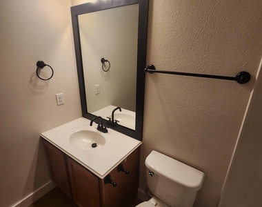4519 Woodspring Glen Lane - Photo Thumbnail 25