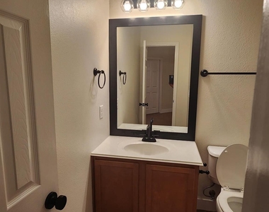 4519 Woodspring Glen Lane - Photo Thumbnail 21
