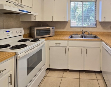 1537 Mango Tree Drive - Photo Thumbnail 7