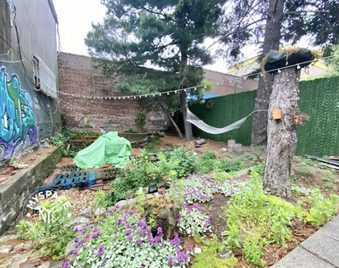 295 Maujer Street - Photo Thumbnail 11