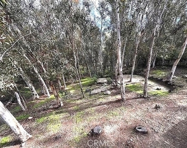 24851 Rollingwood Road - Photo Thumbnail 22