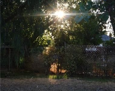 3045 Cedar - Photo Thumbnail 24