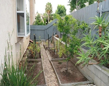 1633 Calle Las Casas - Photo Thumbnail 18