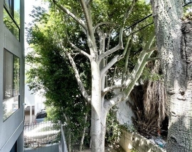 922 N Hudson Avenue - Photo Thumbnail 10