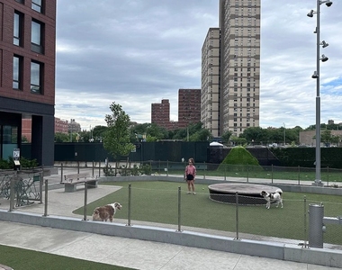 550 Vanderbilt Avenue - Photo Thumbnail 30