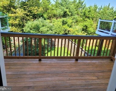 25117 Sweet Myrtle Square - Photo Thumbnail 42