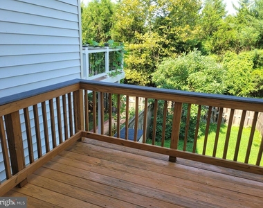 25117 Sweet Myrtle Square - Photo Thumbnail 41