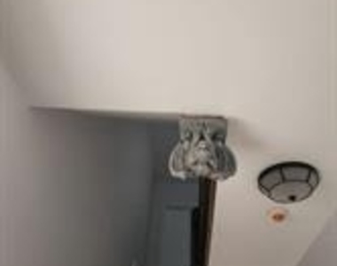 217 Green Lane - Photo Thumbnail 7