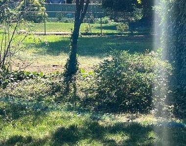 30 Spruce Avenue - Photo Thumbnail 58
