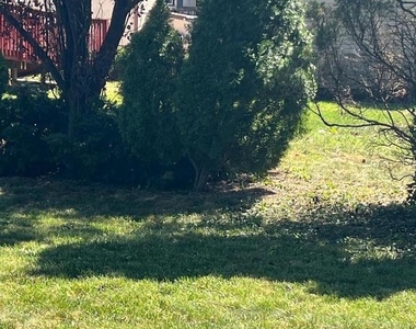 30 Spruce Avenue - Photo Thumbnail 57