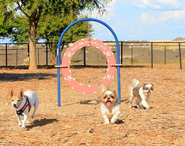 632 Pepperbark Loop - Photo Thumbnail 35