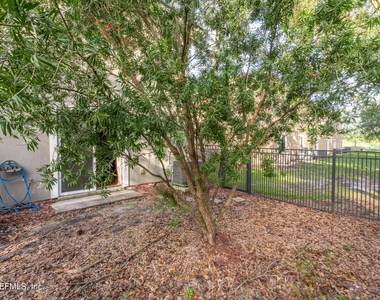 807 Scrub Jay Drive - Photo Thumbnail 4