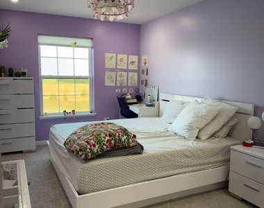 169 Henderson Street - Photo Thumbnail 5