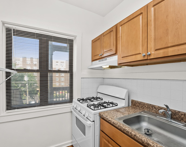 6144 S Indiana Avenue - Photo Thumbnail 5
