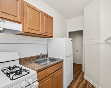 6144 S Indiana Avenue - Photo Thumbnail 6