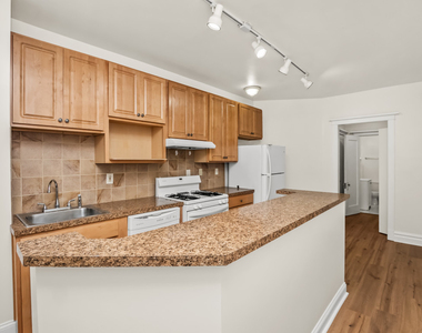 6144 S Indiana Avenue - Photo Thumbnail 5