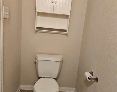 16726 Mammoth Springs Drive - Photo Thumbnail 43