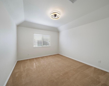 3818 Orchard Springs Court - Photo Thumbnail 36