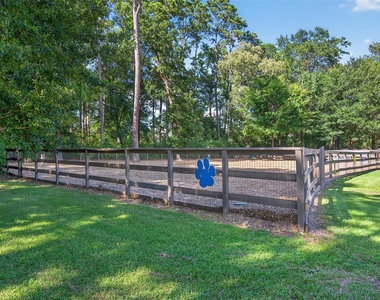 146 Kinnerly Peak Place - Photo Thumbnail 17
