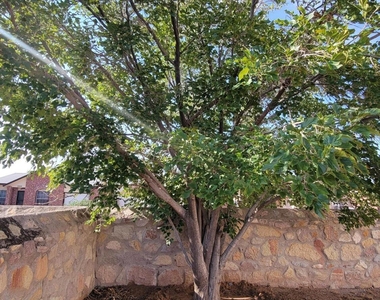 3600 Tierra Meca Drive - Photo Thumbnail 57