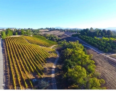 39850 Kapalua Way - Photo Thumbnail 25